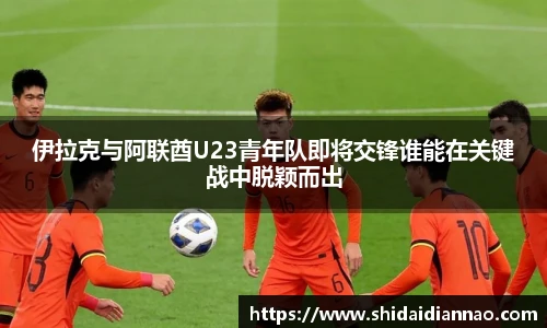 熊猫体育中国网站
